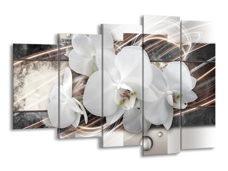 Glasschilderij Orchidee, Bloemen | Grijs, Wit | 150x100cm 5Luik