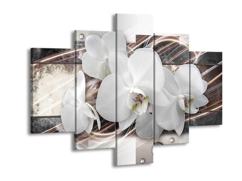 Canvas Schilderij Orchidee, Bloemen | Grijs, Wit | 150x105cm 5Luik