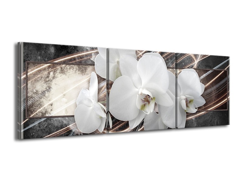 Canvas Schilderij Orchidee, Bloemen | Grijs, Wit | 150x50cm 3Luik