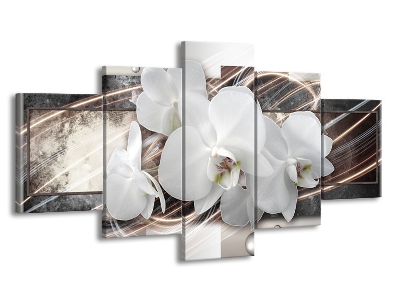 Canvas Schilderij Orchidee, Bloemen | Grijs, Wit | 150x80cm 5Luik