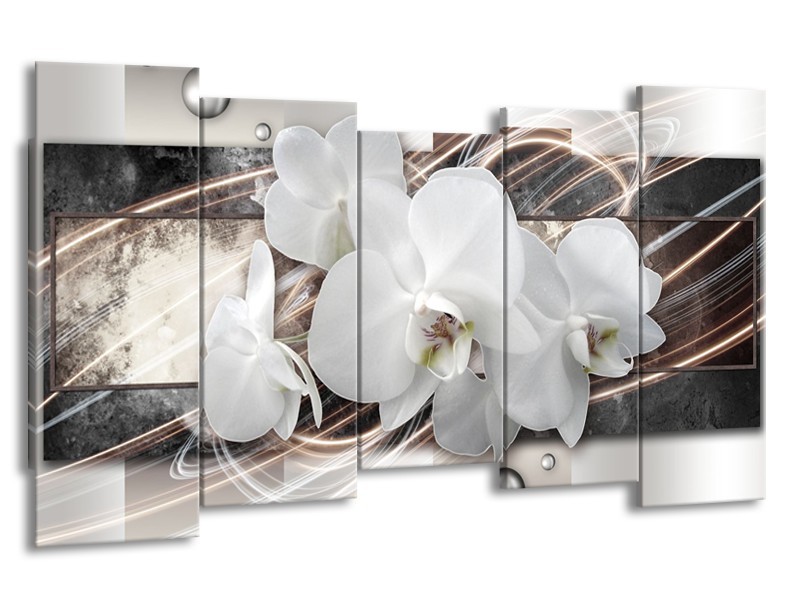 Glasschilderij Orchidee, Bloemen | Grijs, Wit | 150x80cm 5Luik
