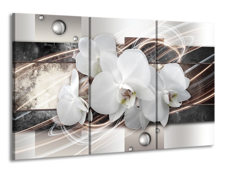 Canvas Schilderij Orchidee, Bloemen | Grijs, Wit | 165x100cm 3Luik