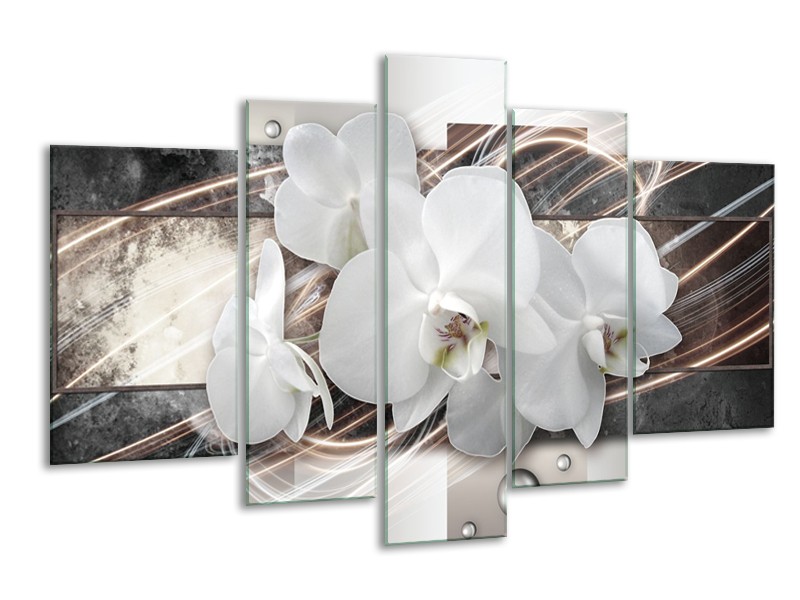 Glasschilderij Orchidee, Bloemen | Grijs, Wit | 170x100cm 5Luik