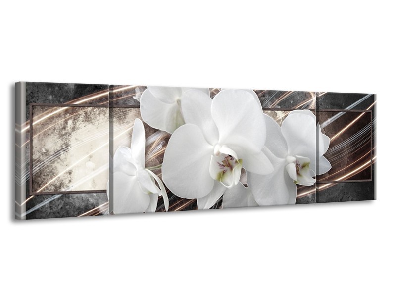 Canvas Schilderij Orchidee, Bloemen | Grijs, Wit | 170x50cm 3Luik