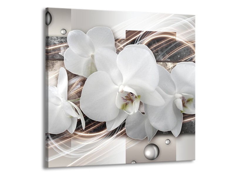 Canvas Schilderij Orchidee, Bloemen | Grijs, Wit | 50x50cm 1Luik