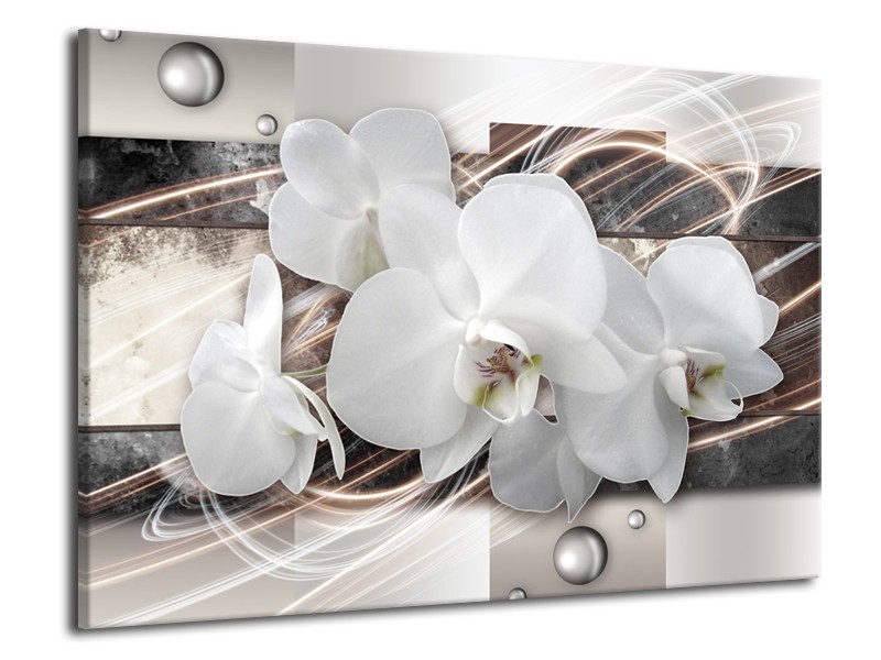 Glasschilderij Orchidee, Bloemen | Grijs, Wit | 70x50cm 1Luik