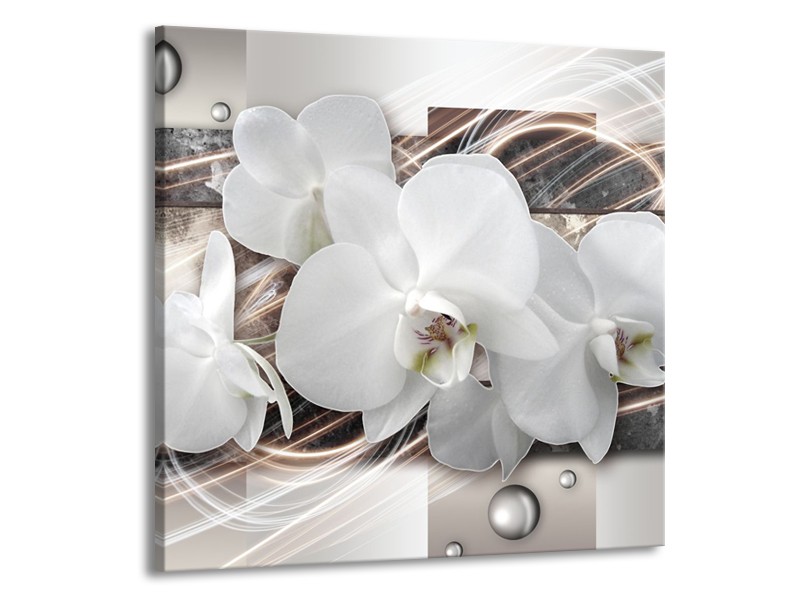 Glasschilderij Orchidee, Bloemen | Grijs, Wit | 70x70cm 1Luik