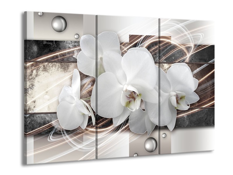 Canvas Schilderij Orchidee, Bloemen | Grijs, Wit | 60x90cm 3Luik