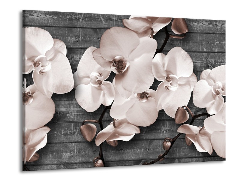 Canvas Schilderij Orchidee, Bloemen | Grijs | 100x70cm 1Luik