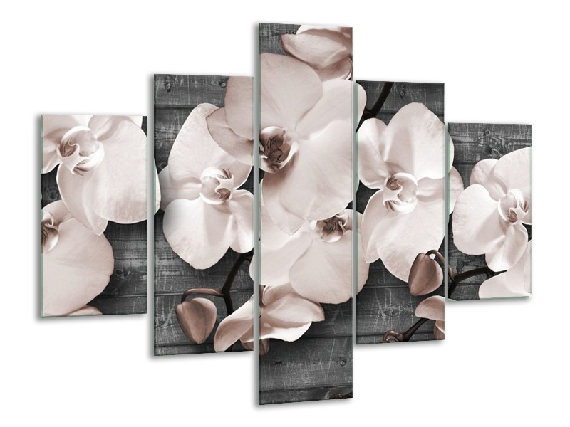 Glasschilderij Orchidee, Bloemen | Grijs | 100x70cm 5Luik