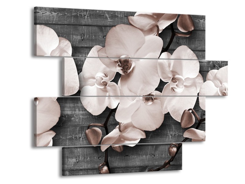 Canvas Schilderij Orchidee, Bloemen | Grijs | 115x85cm 4Luik
