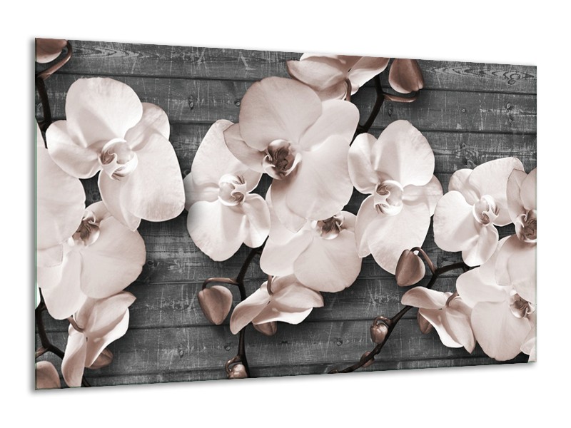 Glasschilderij Orchidee, Bloemen | Grijs | 120x70cm 1Luik