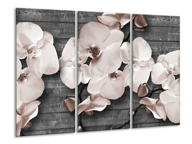 Glasschilderij Orchidee, Bloemen | Grijs | 120x80cm 3Luik
