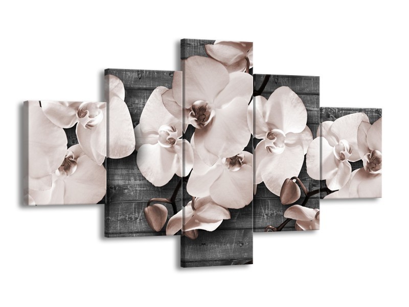 Canvas Schilderij Orchidee, Bloemen | Grijs | 125x70cm 5Luik
