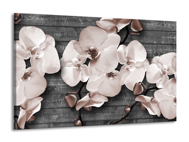 Canvas Schilderij Orchidee, Bloemen | Grijs | 140x90cm 1Luik