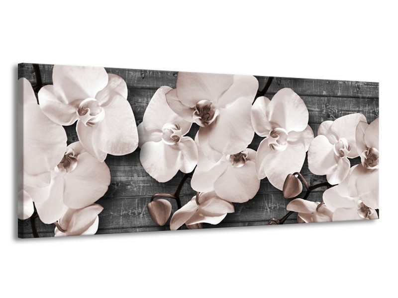 Canvas Schilderij Orchidee, Bloemen | Grijs | 145x58cm 1Luik