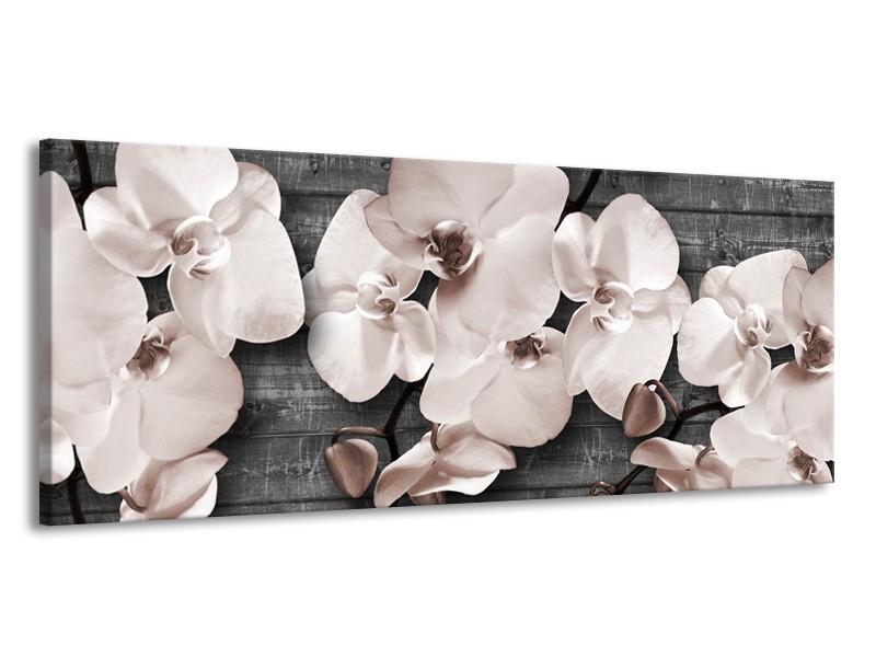 Glasschilderij Orchidee, Bloemen | Grijs | 145x58cm 1Luik