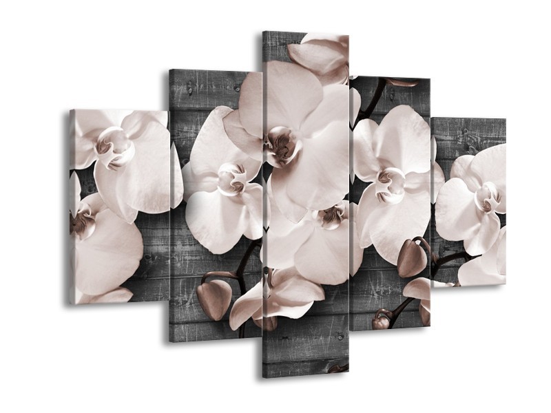 Canvas Schilderij Orchidee, Bloemen | Grijs | 150x105cm 5Luik