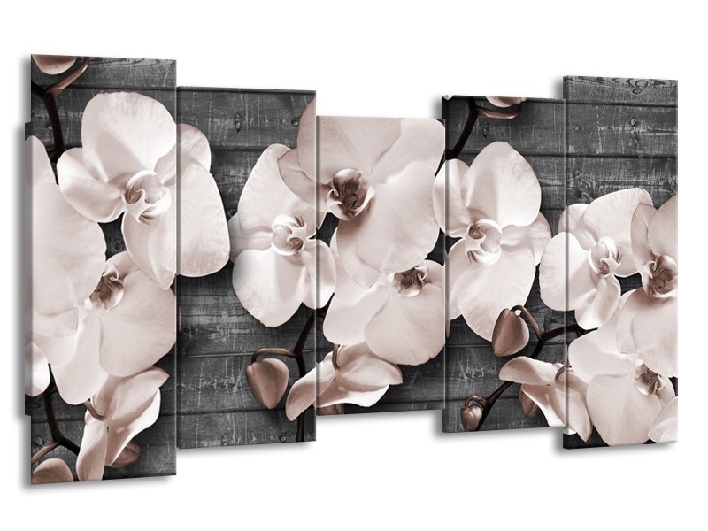 Glasschilderij Orchidee, Bloemen | Grijs | 150x80cm 5Luik