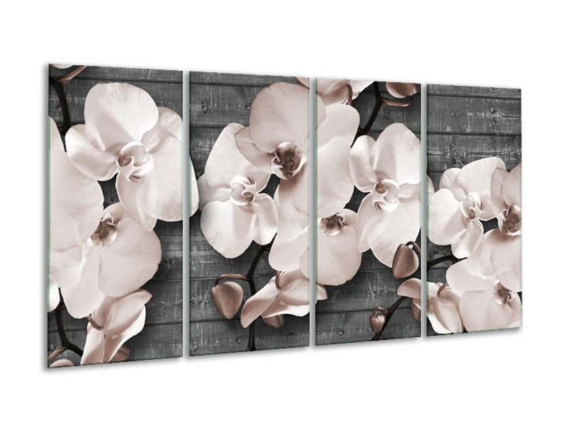 Canvas Schilderij Orchidee, Bloemen | Grijs | 160x80cm 4Luik