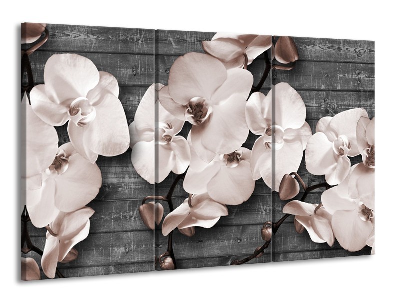 Canvas Schilderij Orchidee, Bloemen | Grijs | 165x100cm 3Luik