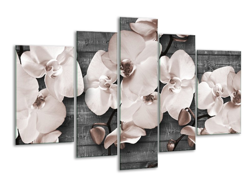 Canvas Schilderij Orchidee, Bloemen | Grijs | 170x100cm 5Luik