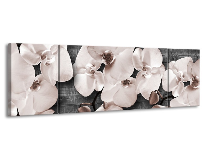 Canvas Schilderij Orchidee, Bloemen | Grijs | 170x50cm 3Luik