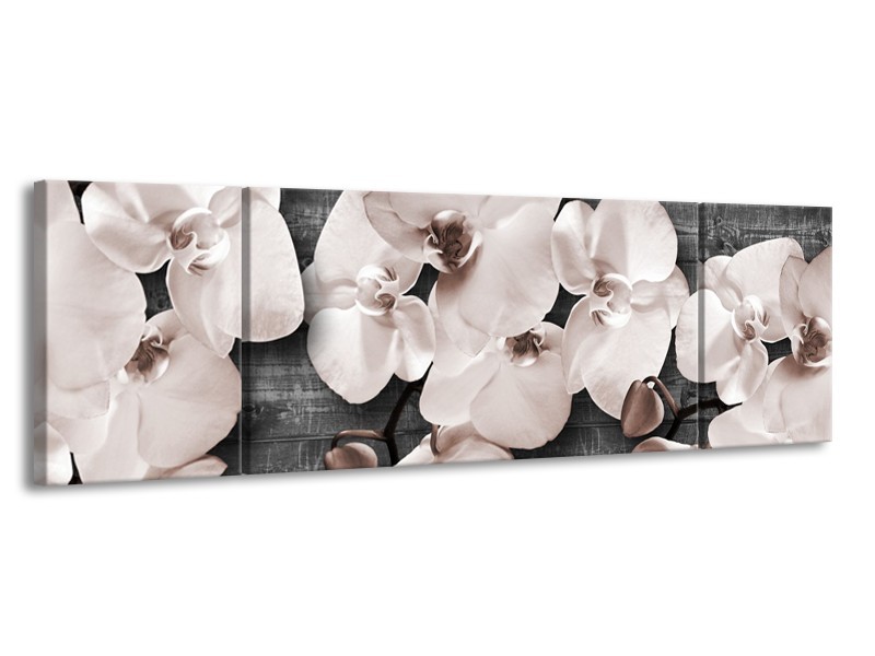 Glasschilderij Orchidee, Bloemen | Grijs | 170x50cm 3Luik