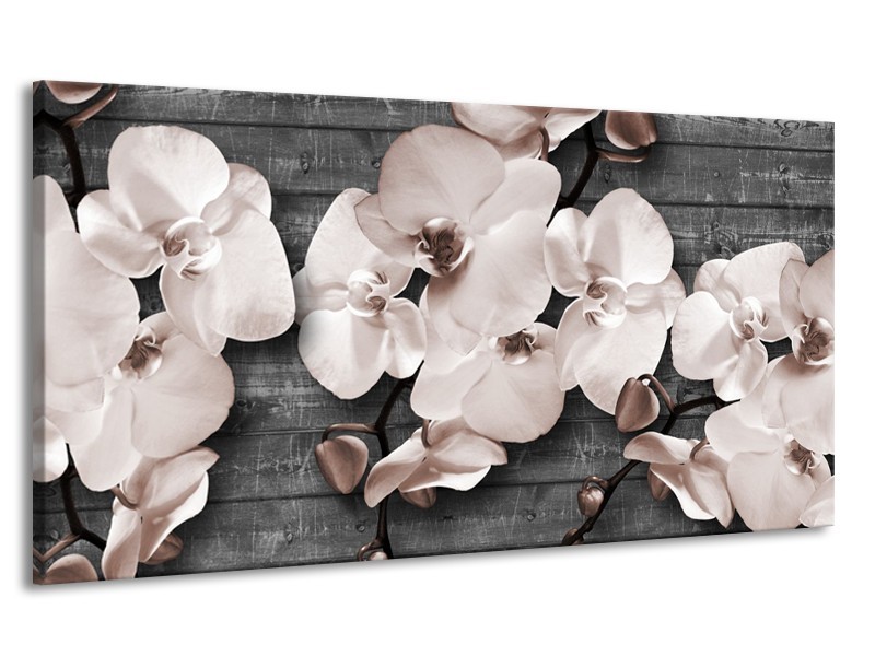 Canvas Schilderij Orchidee, Bloemen | Grijs | 170x90cm 1Luik