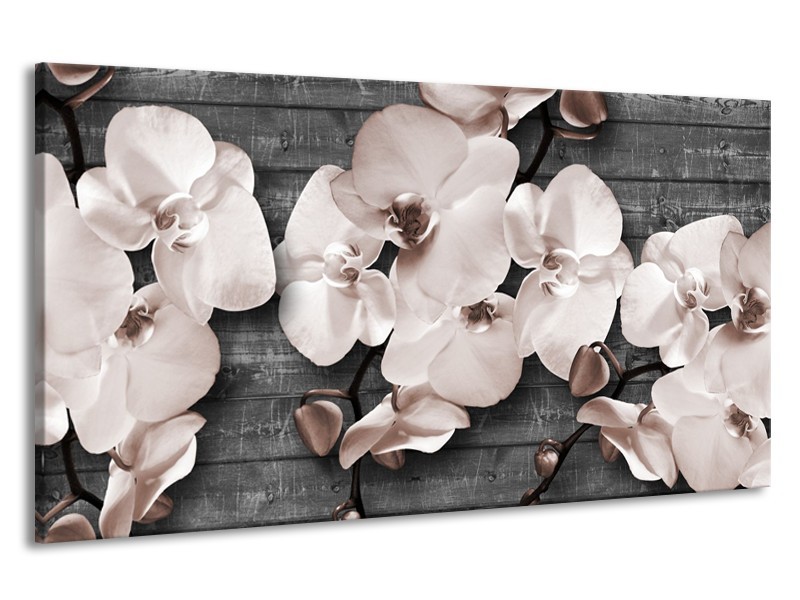 Canvas Schilderij Orchidee, Bloemen | Grijs | 190x100cm 1Luik