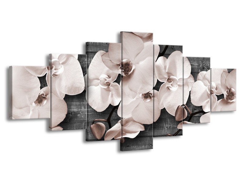 Glasschilderij Orchidee, Bloemen | Grijs | 210x100cm 7Luik