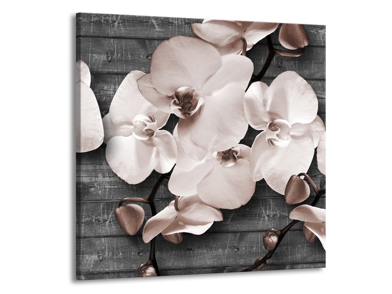 Canvas Schilderij Orchidee, Bloemen | Grijs | 50x50cm 1Luik