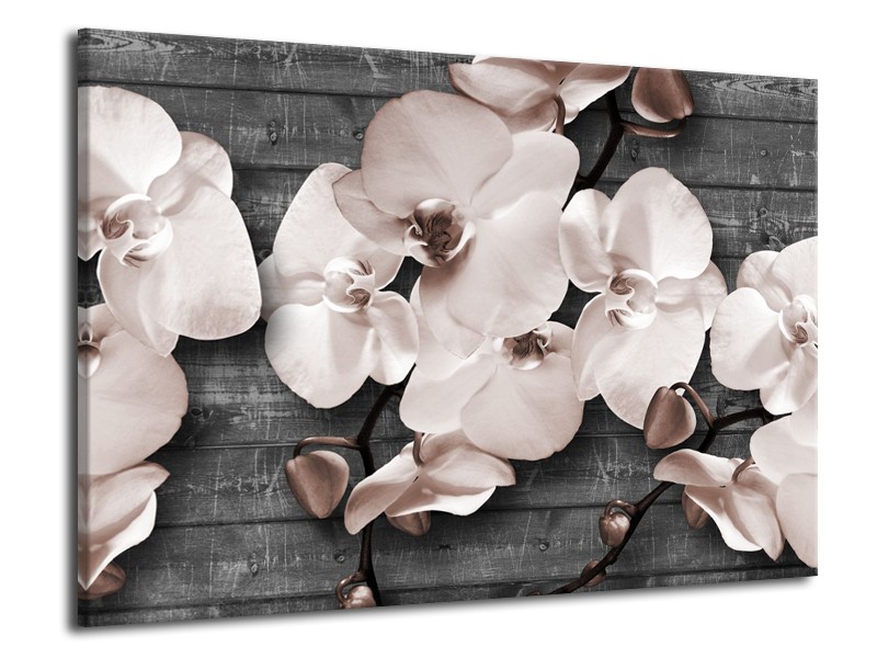 Canvas Schilderij Orchidee, Bloemen | Grijs | 70x50cm 1Luik