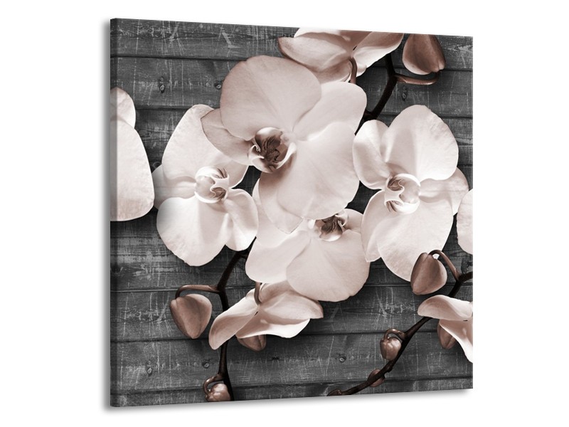 Canvas Schilderij Orchidee, Bloemen | Grijs | 70x70cm 1Luik