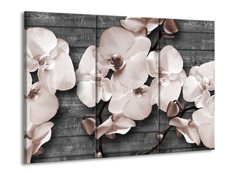 Glasschilderij Orchidee, Bloemen | Grijs | 60x90cm 3Luik
