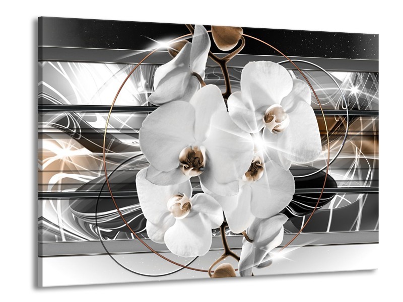 Canvas Schilderij Orchidee, Bloemen | Zilver, Wit | 100x70cm 1Luik