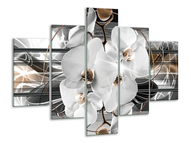 Glasschilderij Orchidee, Bloemen | Zilver, Wit | 100x70cm 5Luik