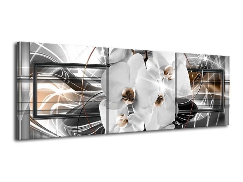 Glasschilderij Orchidee, Bloemen | Zilver, Wit | 120x40cm 3Luik