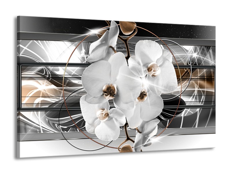 Canvas Schilderij Orchidee, Bloemen | Zilver, Wit | 140x90cm 1Luik