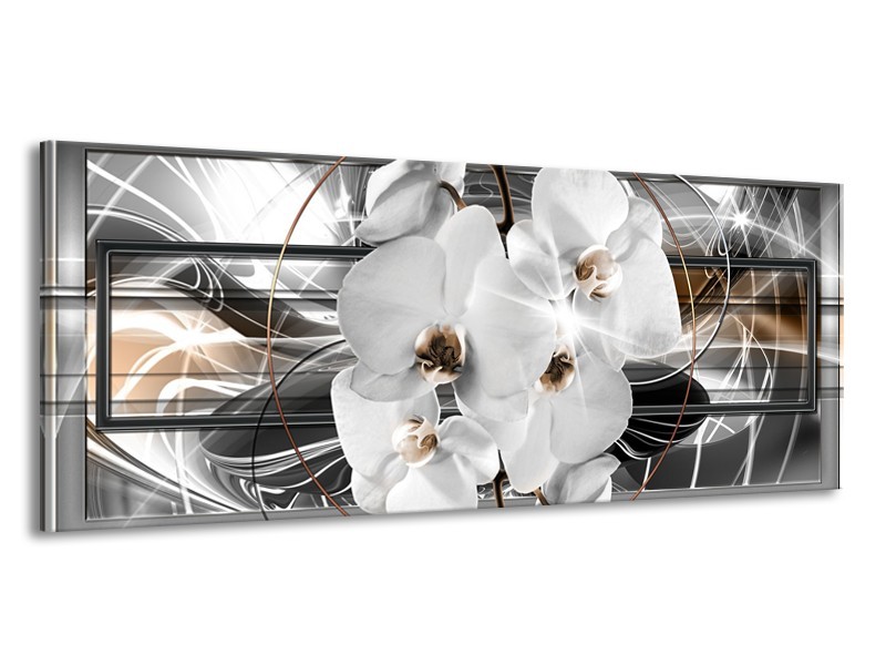 Canvas Schilderij Orchidee, Bloemen | Zilver, Wit | 145x58cm 1Luik