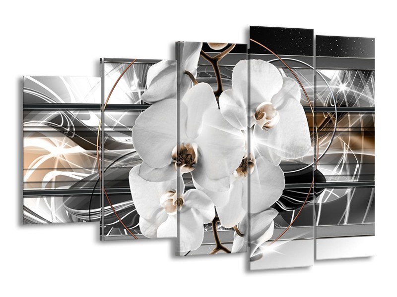 Canvas Schilderij Orchidee, Bloemen | Zilver, Wit | 150x100cm 5Luik