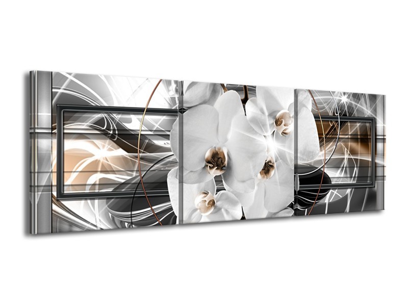 Canvas Schilderij Orchidee, Bloemen | Zilver, Wit | 150x50cm 3Luik