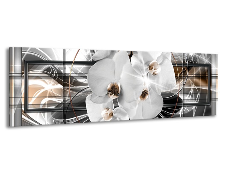 Canvas Schilderij Orchidee, Bloemen | Zilver, Wit | 170x50cm 3Luik