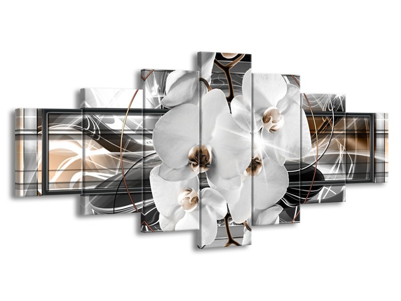Glasschilderij Orchidee, Bloemen | Zilver, Wit | 210x100cm 7Luik