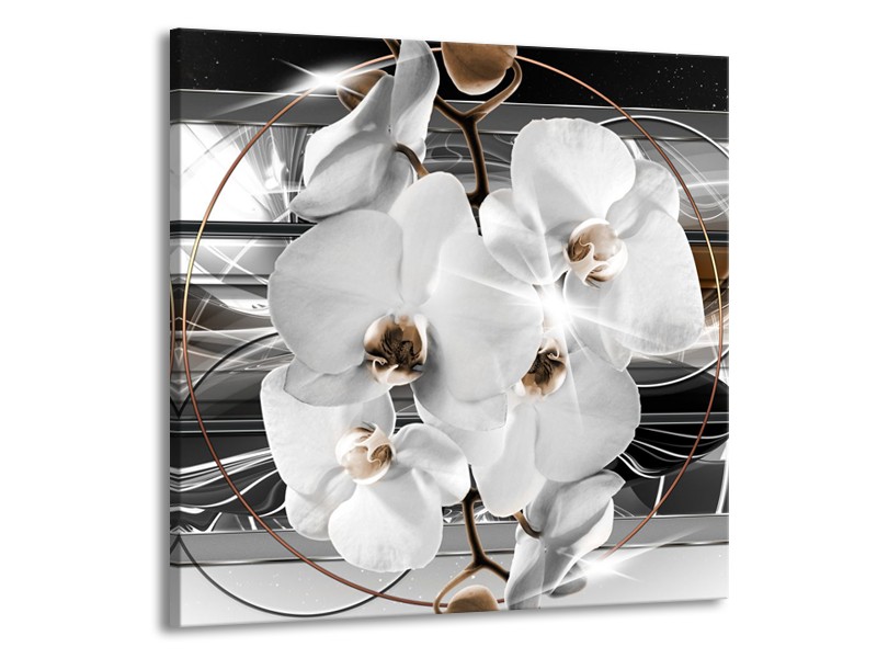 Glasschilderij Orchidee, Bloemen | Zilver, Wit | 50x50cm 1Luik