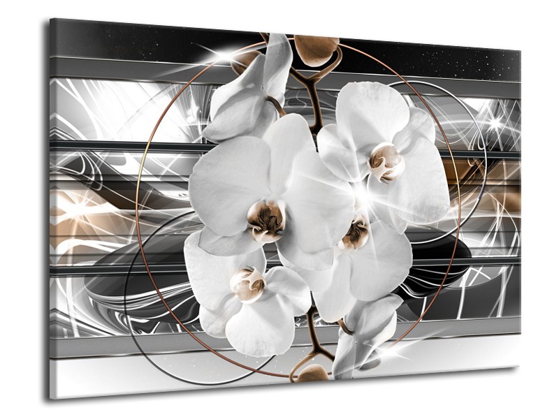 Canvas Schilderij Orchidee, Bloemen | Zilver, Wit | 70x50cm 1Luik