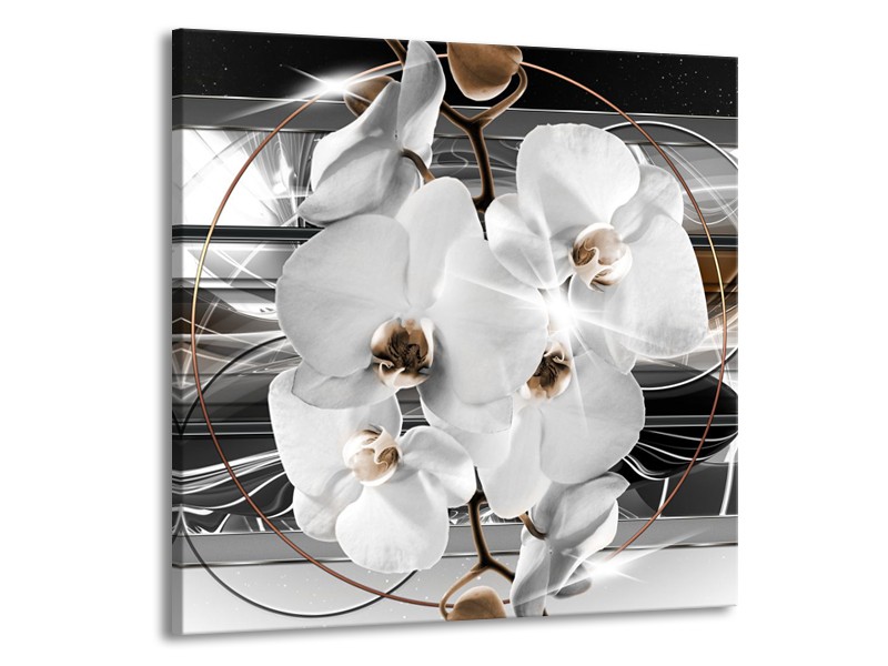 Glasschilderij Orchidee, Bloemen | Zilver, Wit | 70x70cm 1Luik