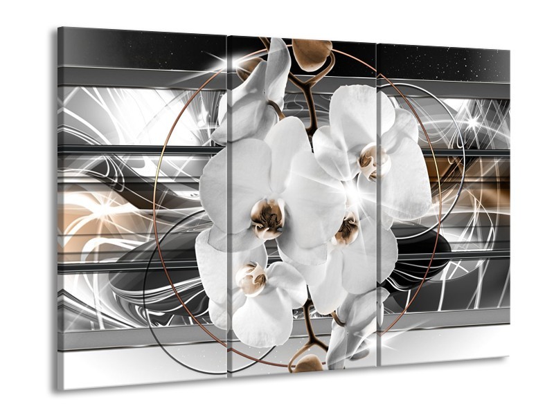 Glasschilderij Orchidee, Bloemen | Zilver, Wit | 60x90cm 3Luik