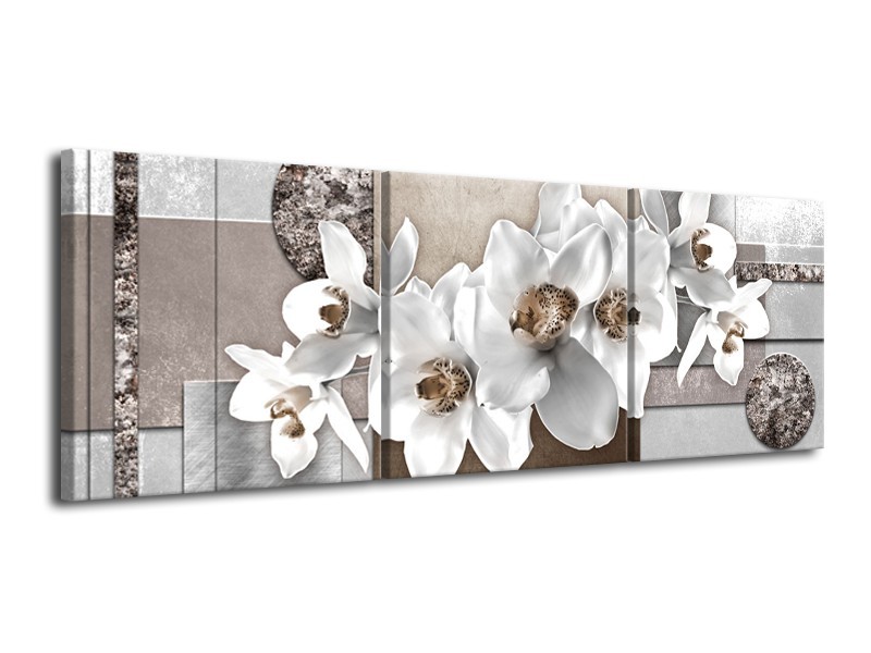 Canvas Schilderij Orchidee, Bloemen | Grijs, Wit | 120x40cm 3Luik