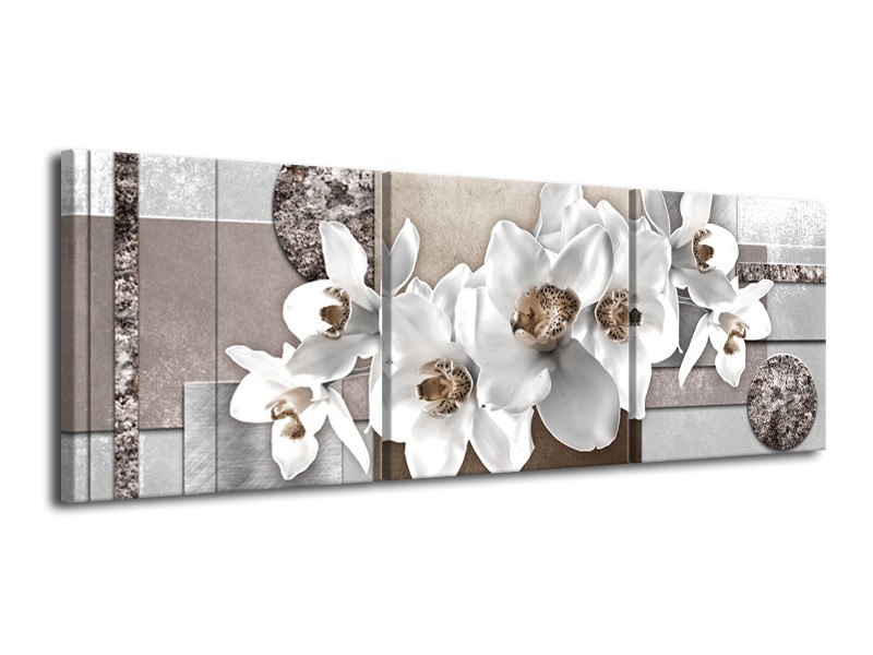 Glasschilderij Orchidee, Bloemen | Grijs, Wit | 120x40cm 3Luik